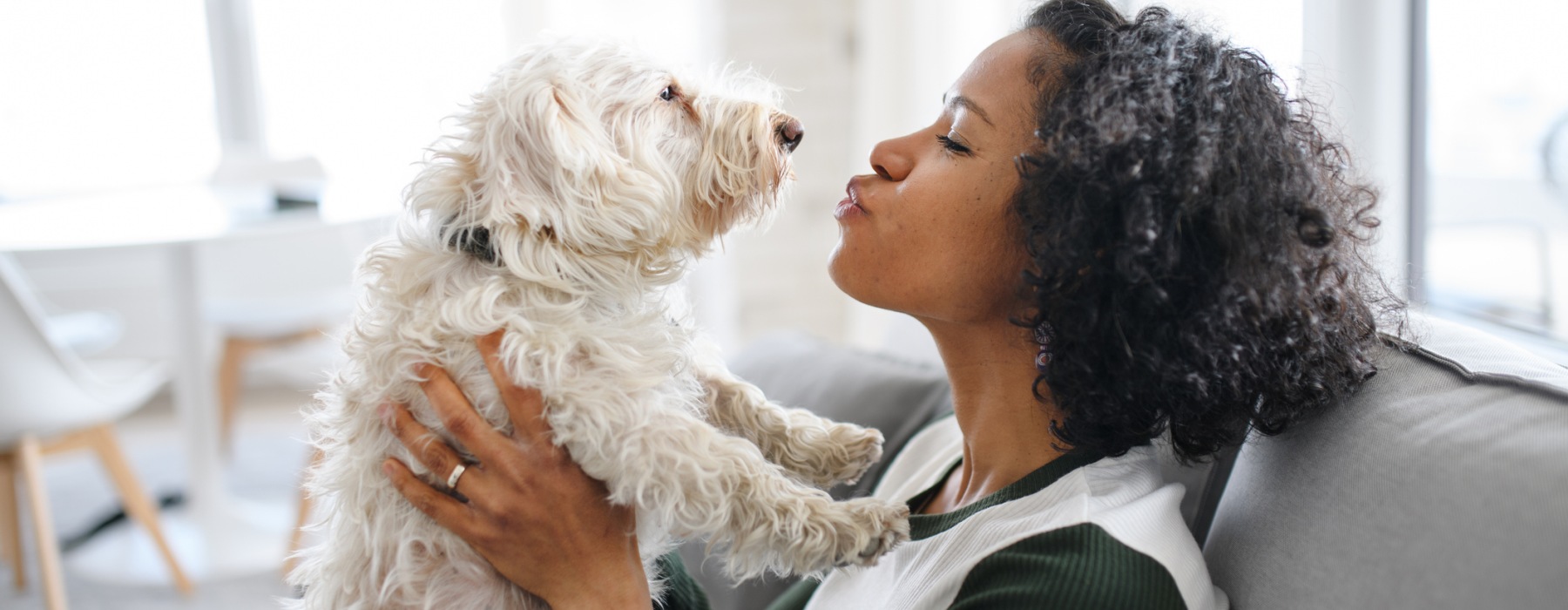 A Pet Friendly Community